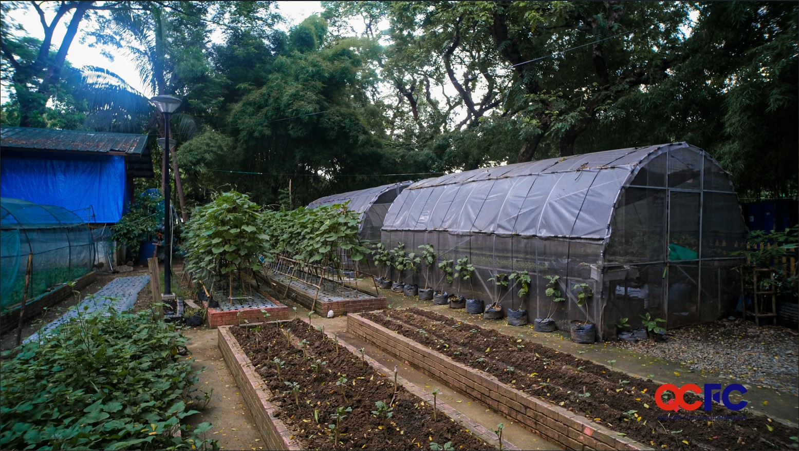 joy-of-urban-farming