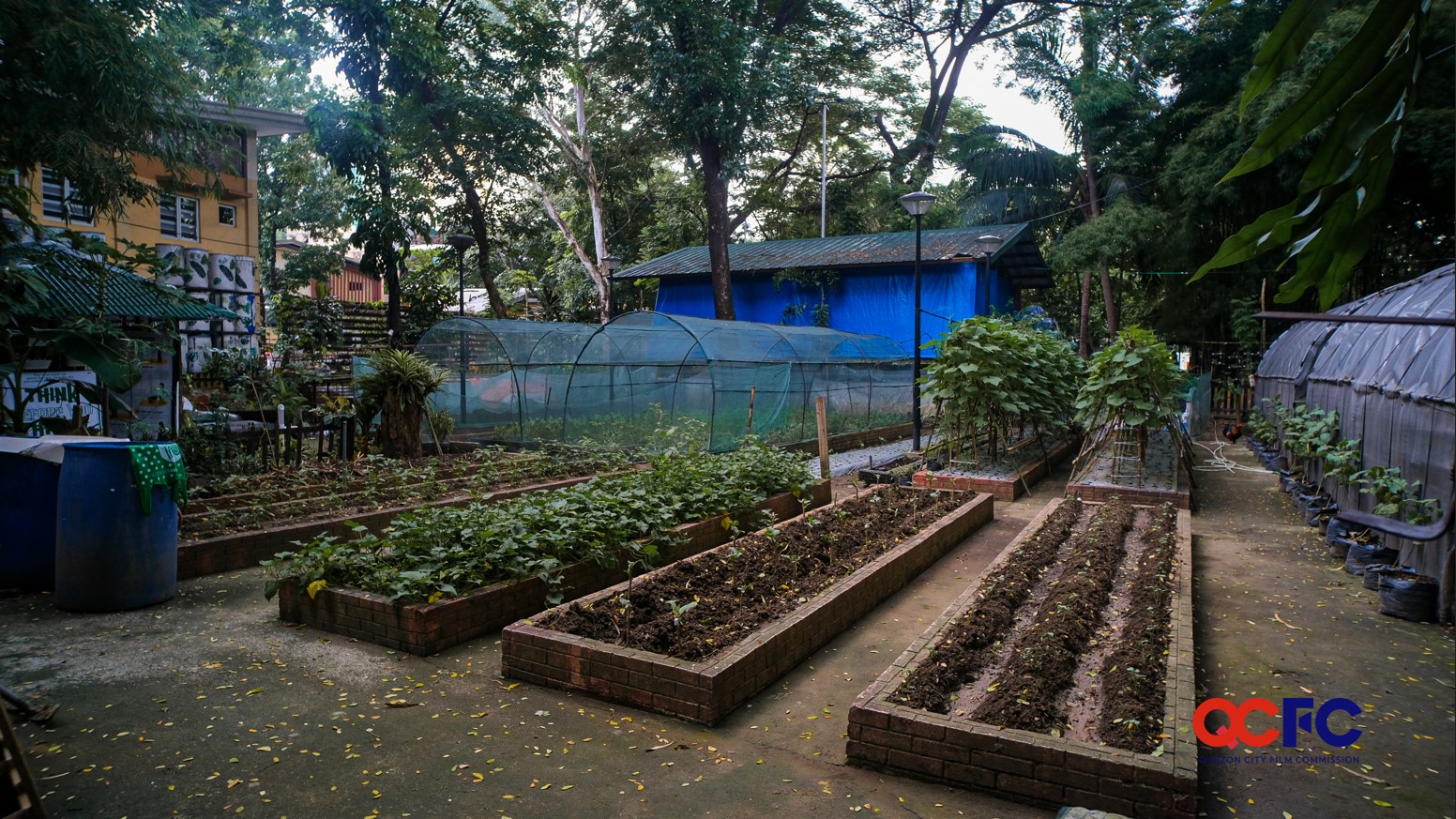 joy-of-urban-farming