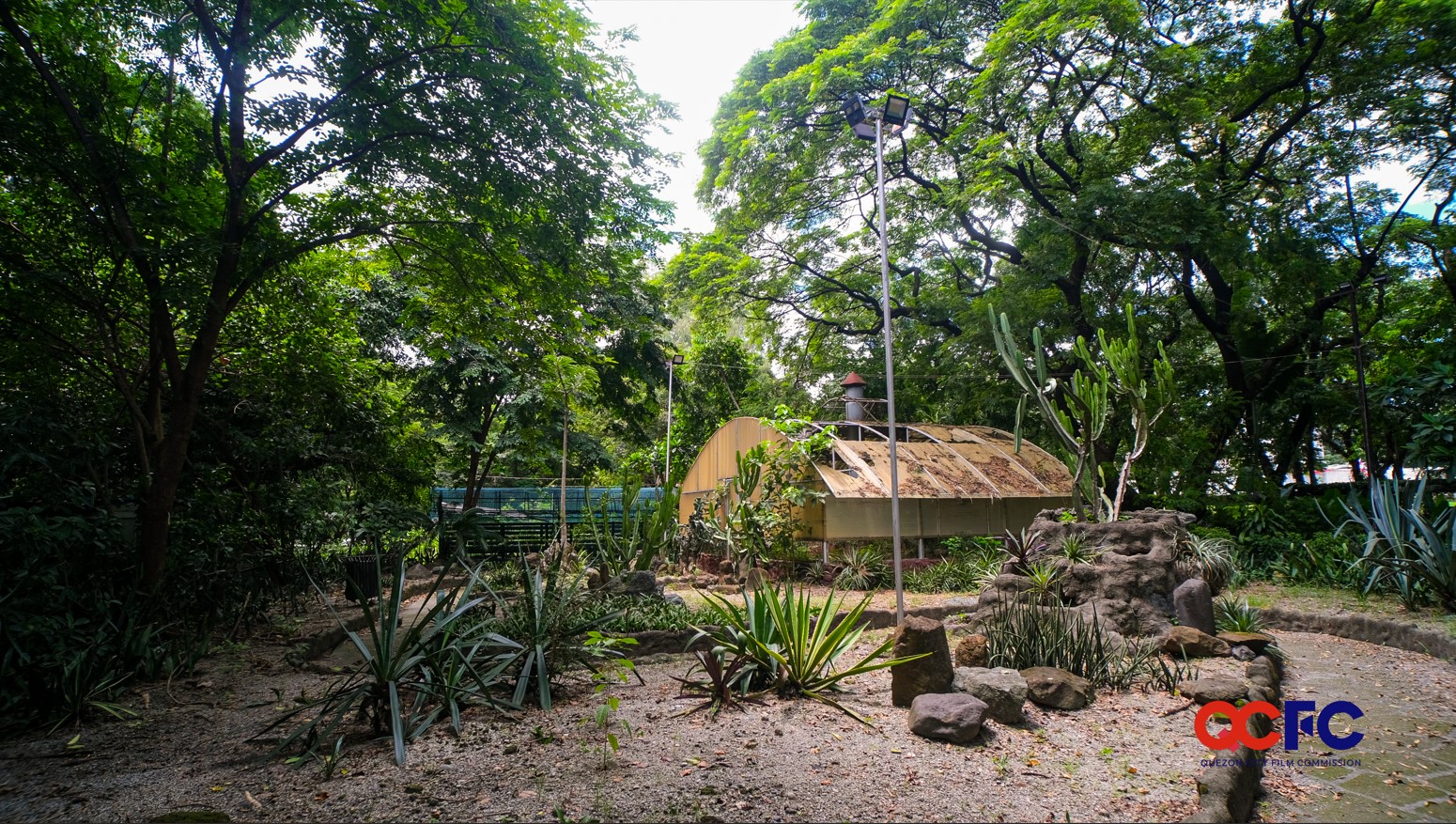 joy-of-urban-farming