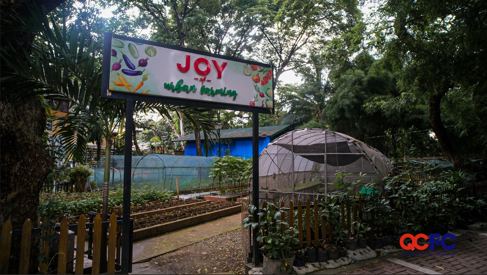 joy-of-urban-farming