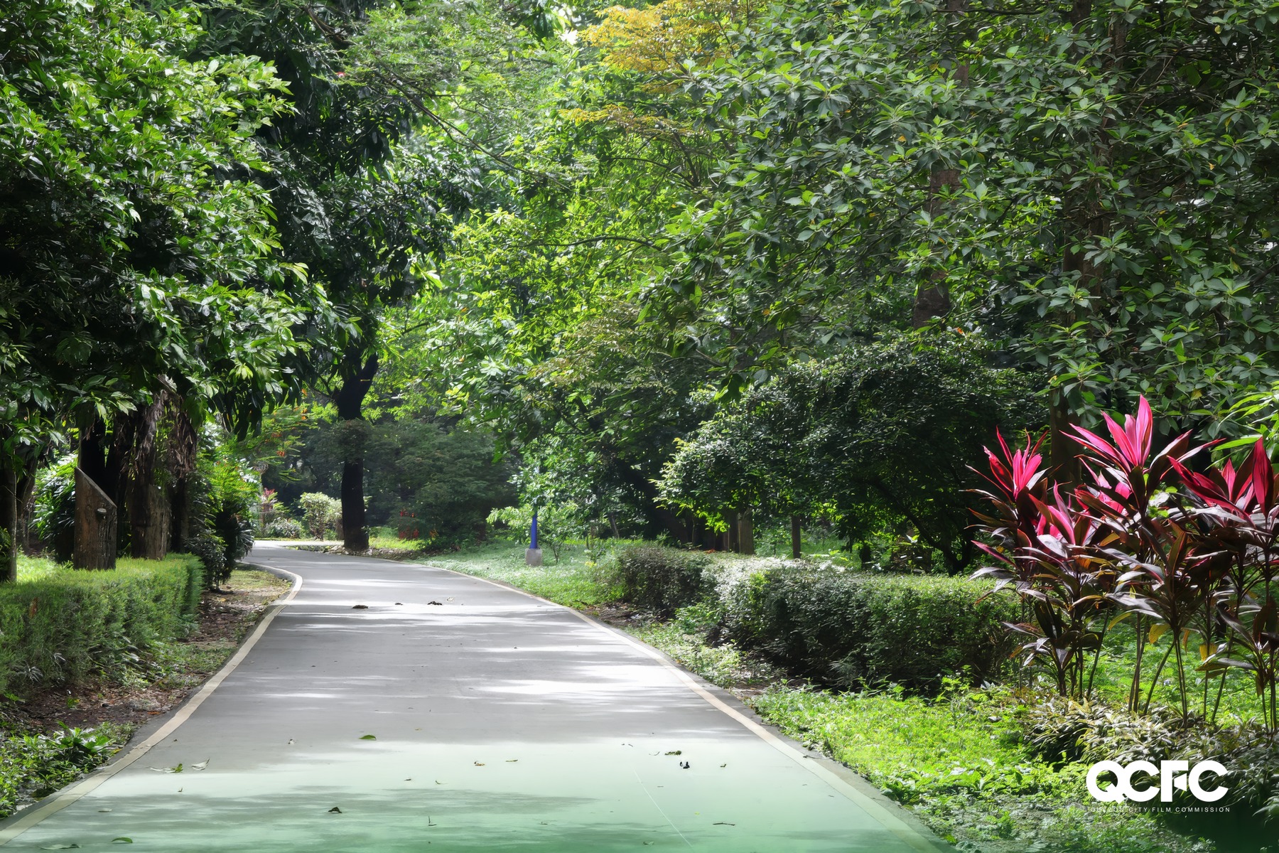Ninoy Aquino Parks and Wildlife Center
