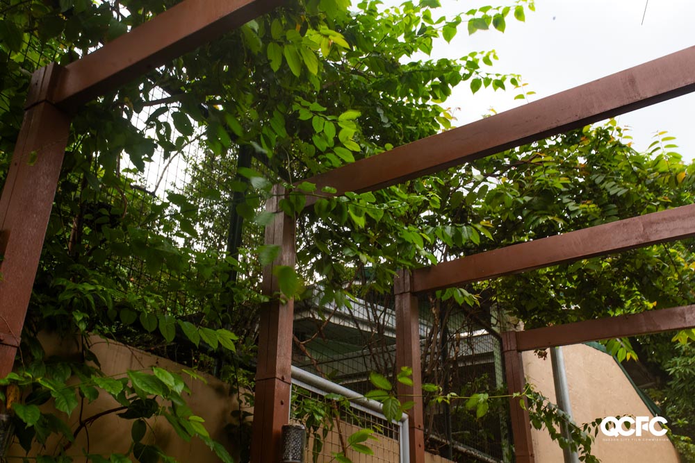 QCFC 2025 September ShootQC (Alley 22)-2.jpg